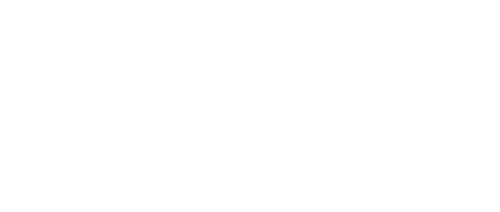 Endesa-Logo